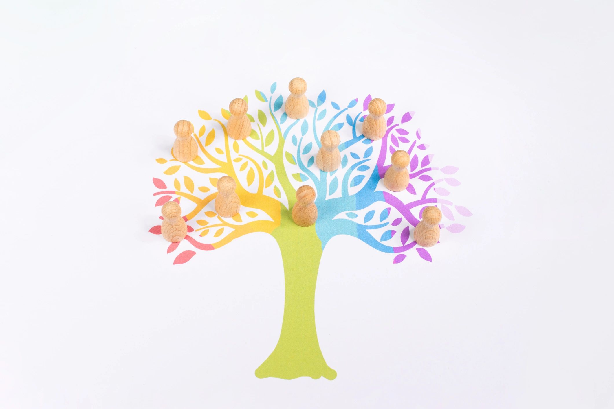 family history generations