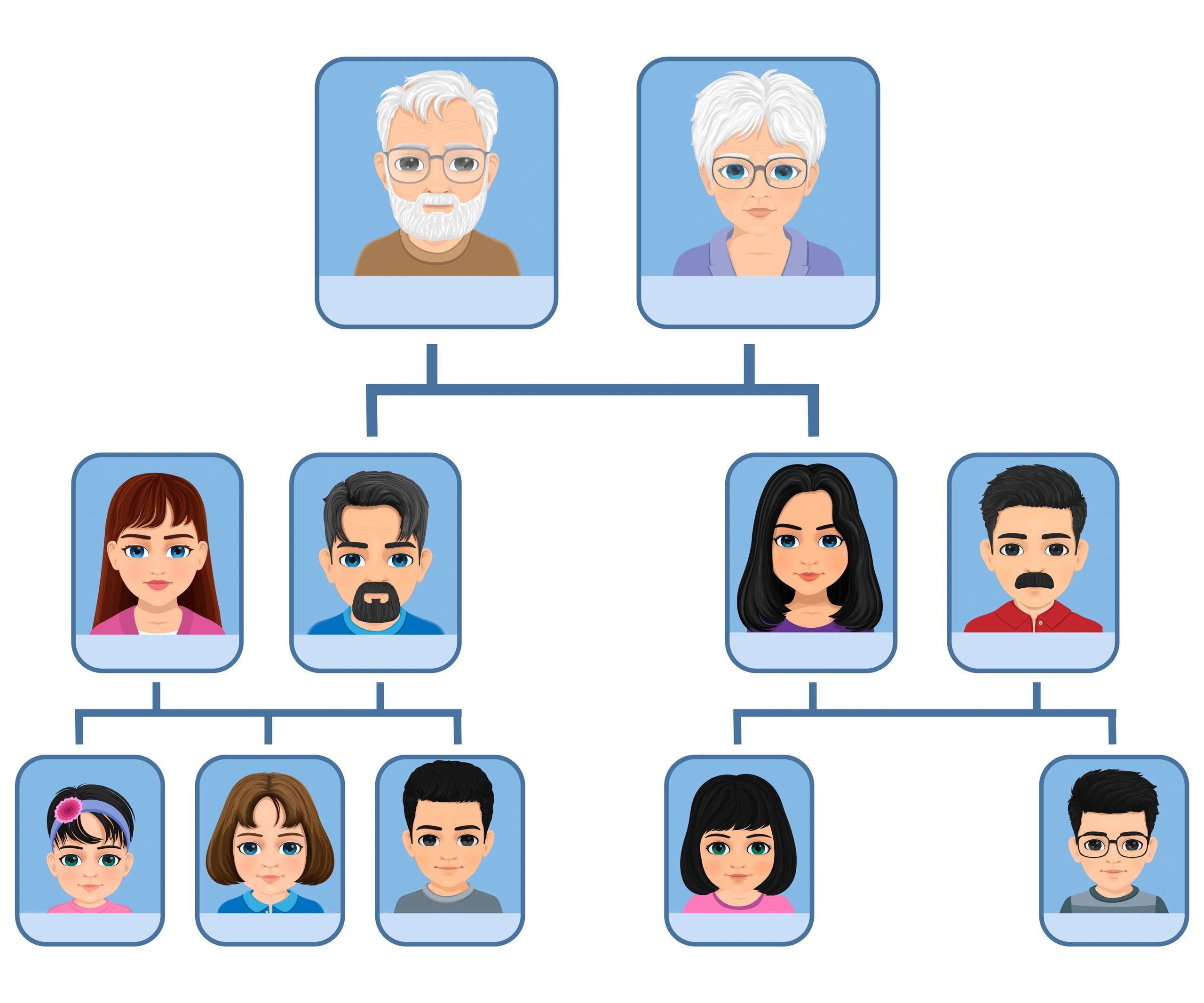 family tree illustration